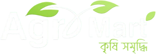 logo2