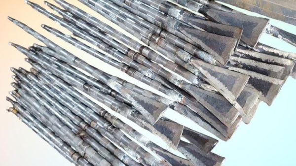 সাফল - ম্যাগনেটিক এসএস - Image 2