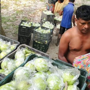 পেয়ারা নিরাপদ ও পুষ্টিকর দেশী ফল
আমাদের নিজস্ব বাগান থেকে সংগ্রহ
🔹 থাই গোল্ডেন ৮ পেয়ারা ১৩৫ টাকা/কেজি