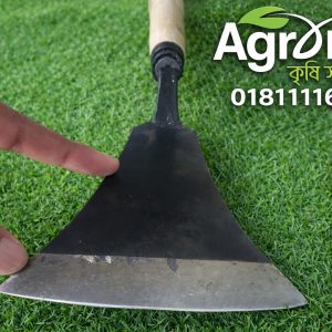 খুীরনী বা বিশেষ ধরনের নিরানী