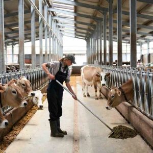 খামার ও বসত বাড়ীর  (ক্লিনিং টুলস)