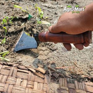 খুীরনী বা বিশেষ ধরনের নিরানী
