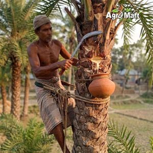 খেজুর গাছ কাটা হাসুয়া বড় সাইজ