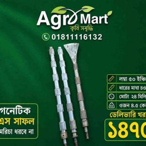 ম্যাগনেটিক এসএস সাফল