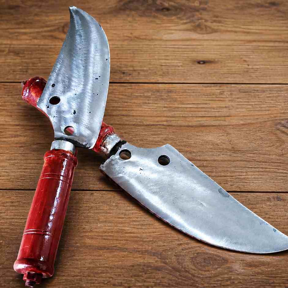 প্রিমিয়াম কোরবানি কম্বো প্যাকেজ 5 ps - Image 3