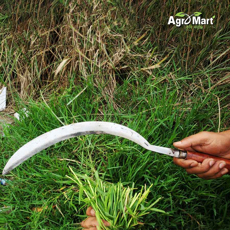 খেজুর ও তাল গাছ কাটা হাসুয়া মিডিয়াম সাইজ - Image 5