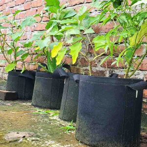 ছাদ বাগানের জন্য জিও গ্রো ব্যাগ