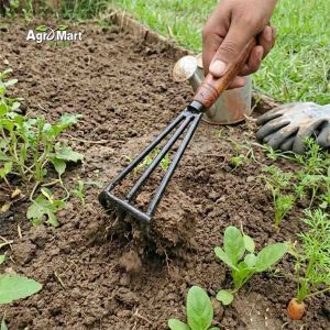 ছাদ বাগানের ছোট হাত নিড়ানি