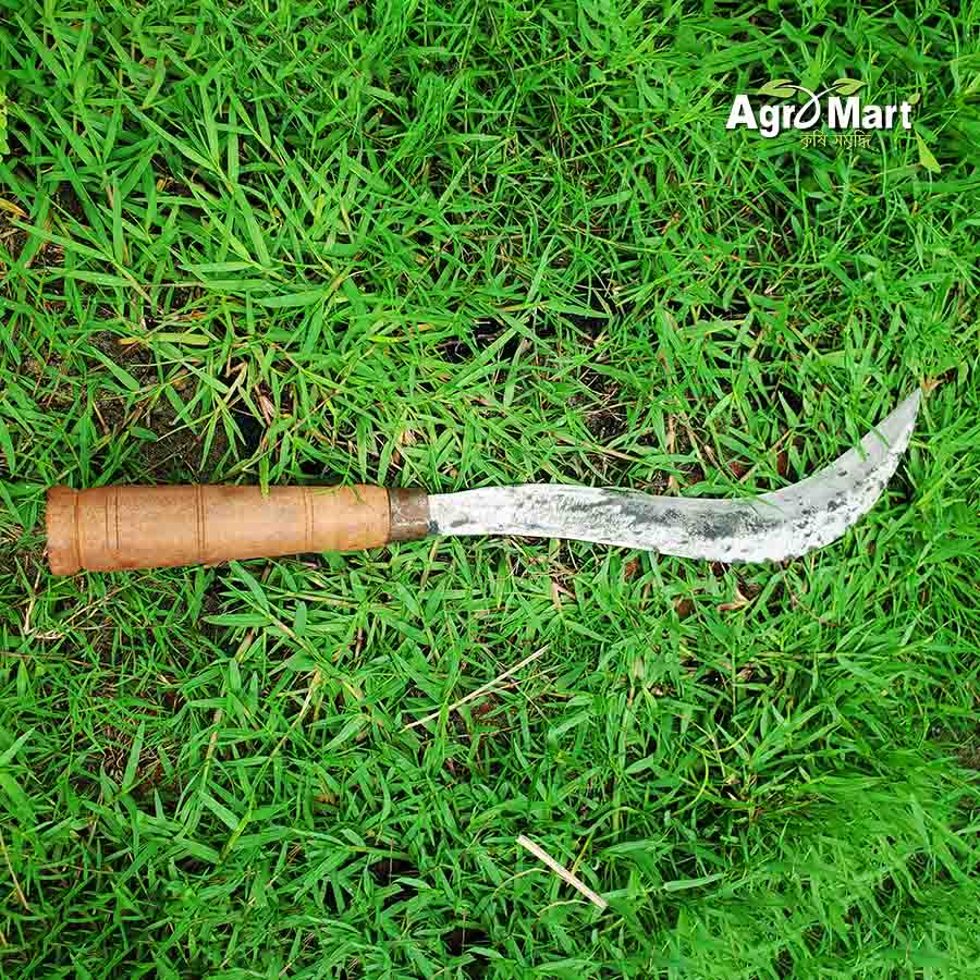 স্পেশাল হাসুয়া - Image 2