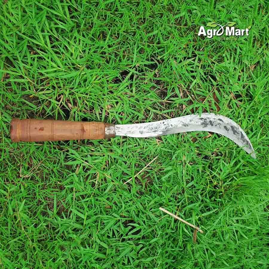 স্পেশাল হাসুয়া - Image 3
