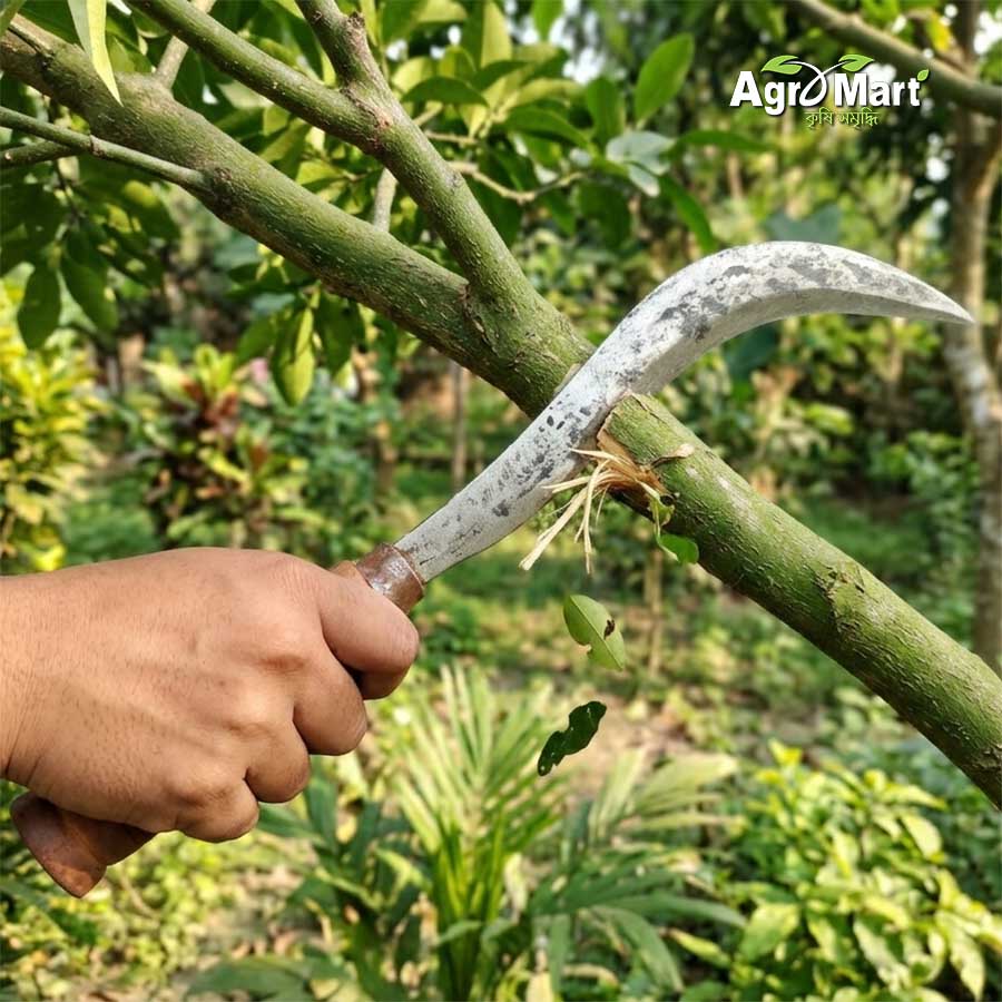 স্পেশাল হাসুয়া - Image 6