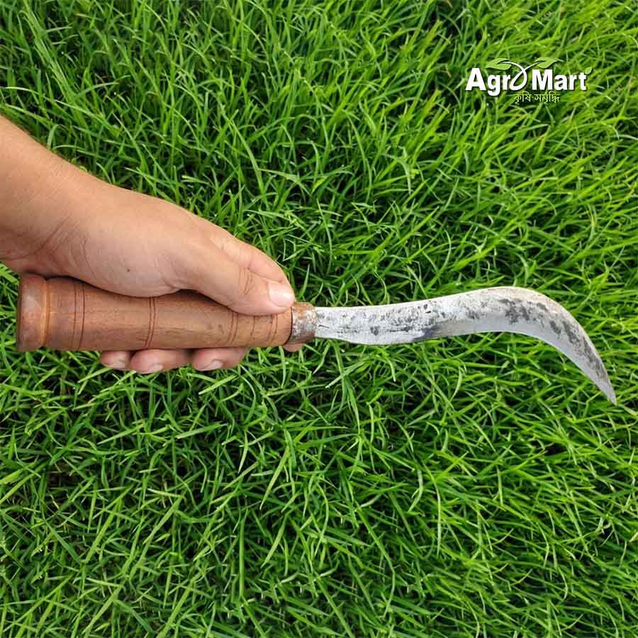 স্পেশাল হাসুয়া