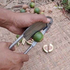 সুপারি কাটার জাতি