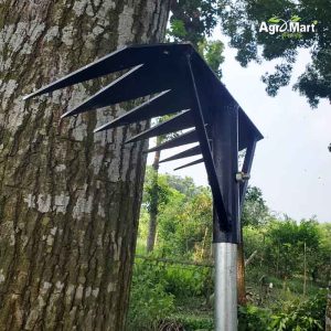 আধুনিক আঁচড়া   ক্ষেত ও বাগানের পরিচর্যা