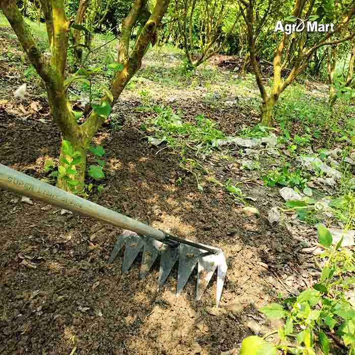 আধুনিক আঁচড়া ক্ষেত ও বাগানের পরিচর্যা - Image 3