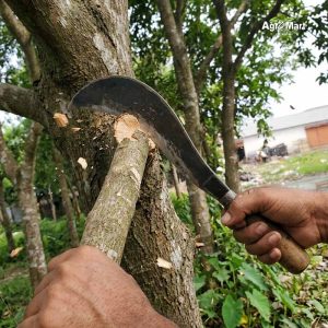 🌿 স্প্রিং এর হাত দা (মিডিয়া সাইজ) 🌿